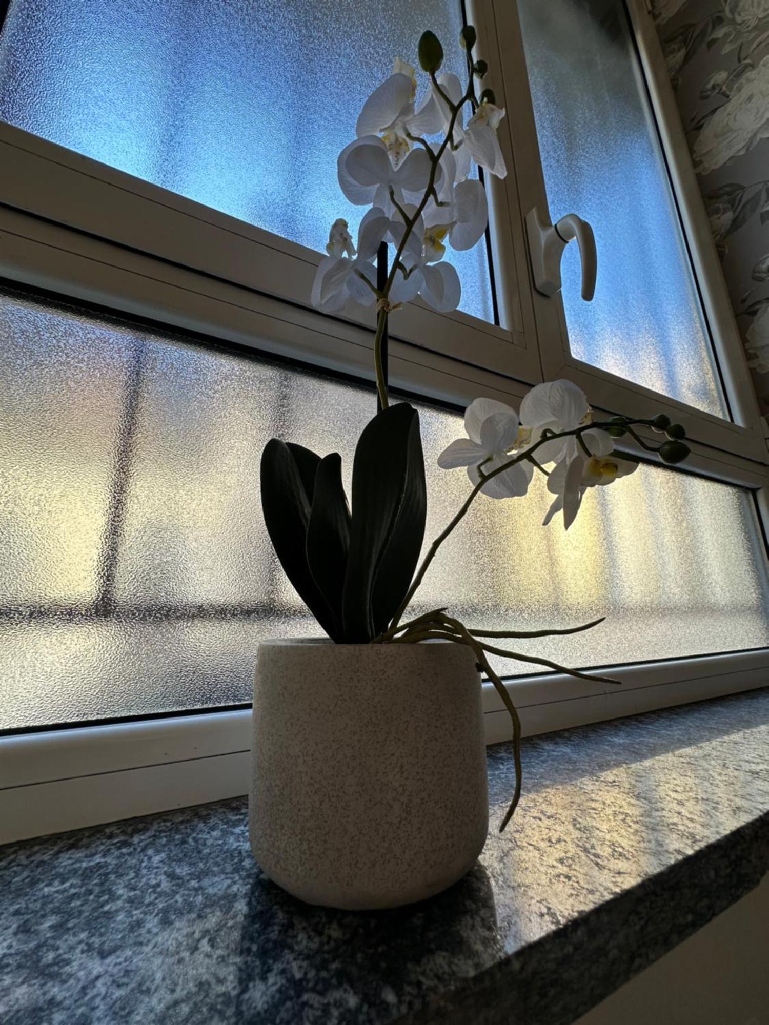 Flowers, A Cozy Suite In ミラノ エクステリア 写真